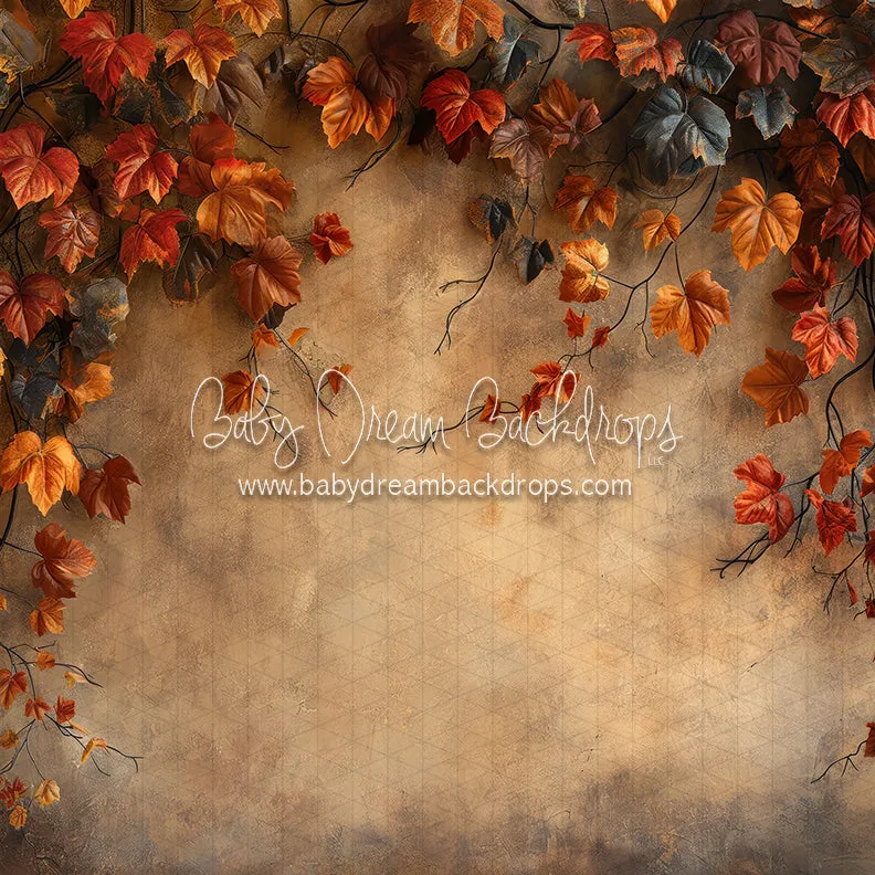 Nova Love Thy Leaves (CC)